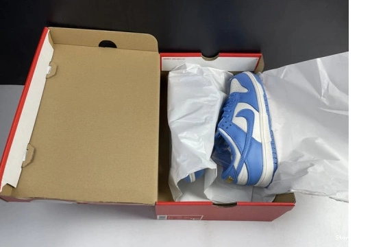 Nike Dunk DD1503-100 Low Coast (W) 1216